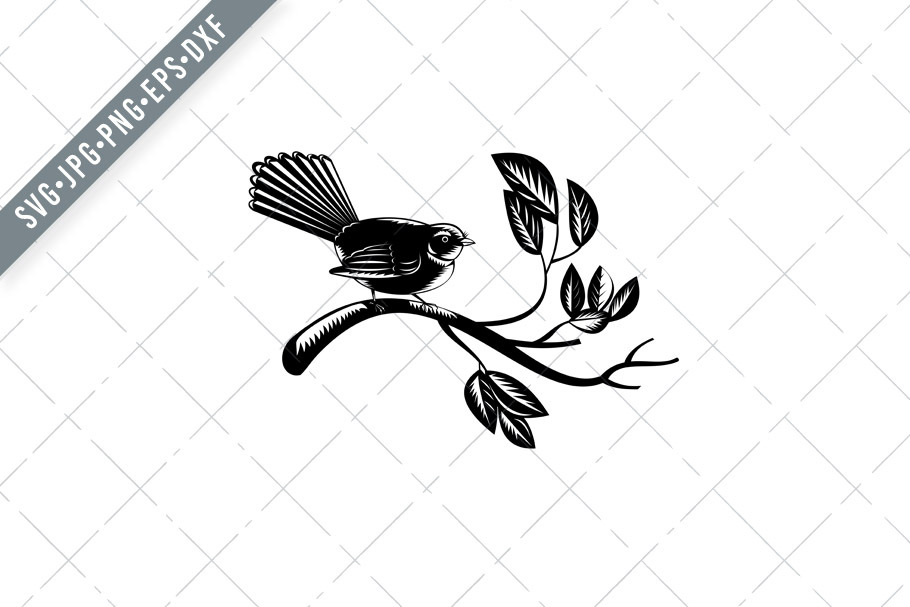 Download New Zealand Fantail Bird Retro Svg Pre Designed Illustrator Graphics Creative Market