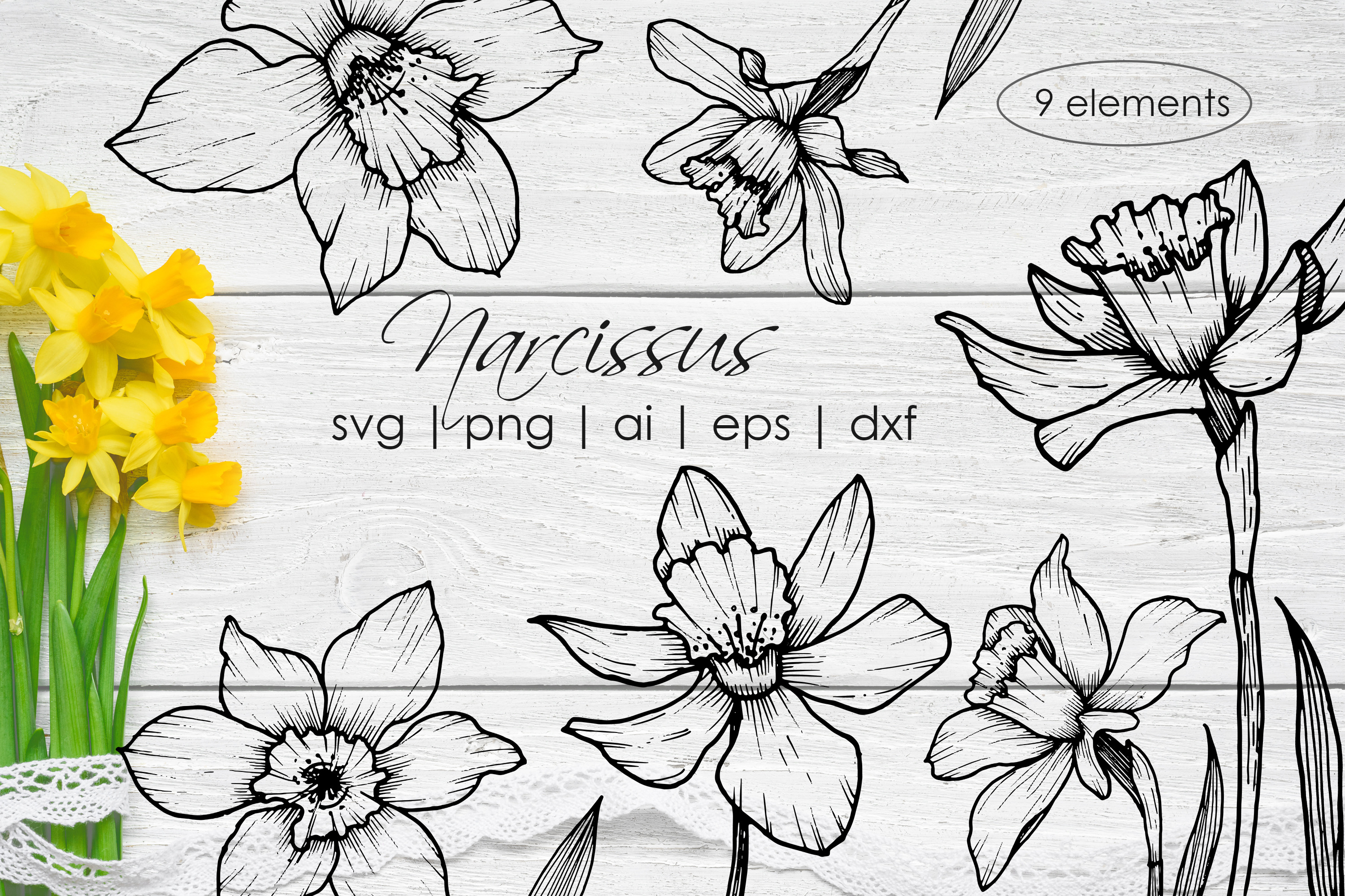 Download Narcissus Line Art Flowers Pre Designed Photoshop Graphics Creative Market 3D SVG Files Ideas | SVG, Paper Crafts, SVG File