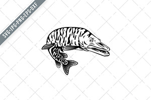 Download Red Drum Spottail Bass Redfish Svg Pre Designed Illustrator Graphics Creative Market