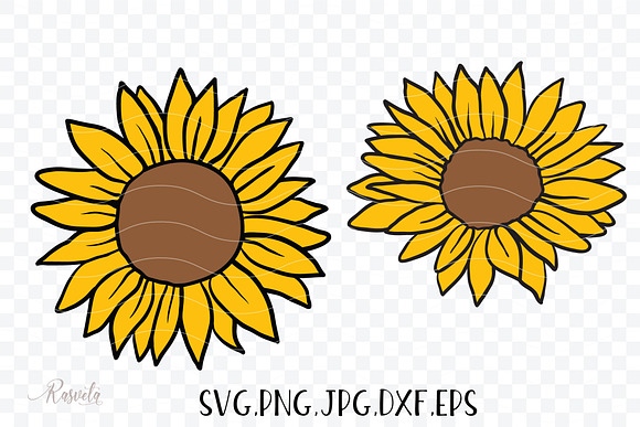 Download Sunflower Monogram Frames Pre Designed Photoshop Graphics Creative Market