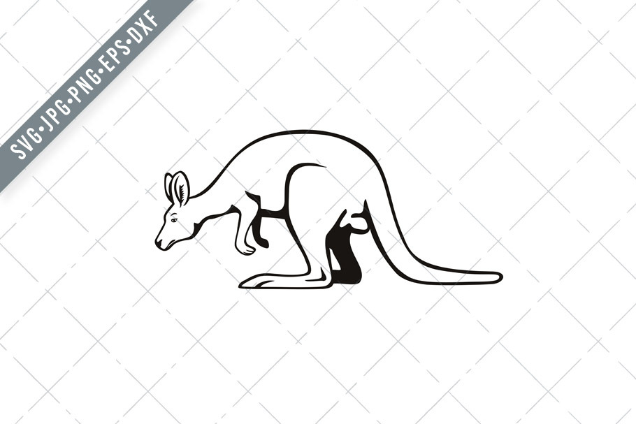 Wallaby Or Kangaroo Side Retro Svg Pre Designed Illustrator Graphics Creative Market