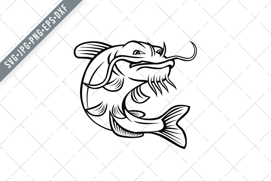 Download Blue Catfish Ictalurus Furcatus Svg Pre Designed Illustrator Graphics Creative Market