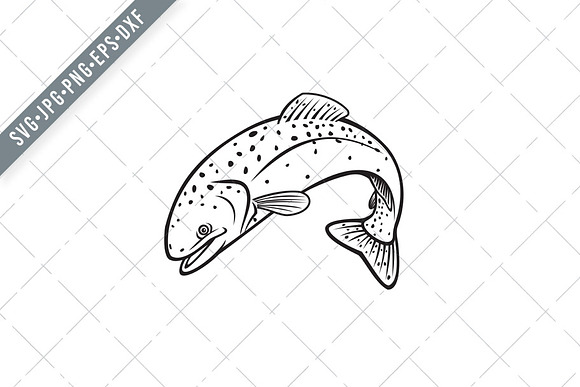 Download Steelhead Or Rainbow Trout Svg Pre Designed Illustrator Graphics Creative Market