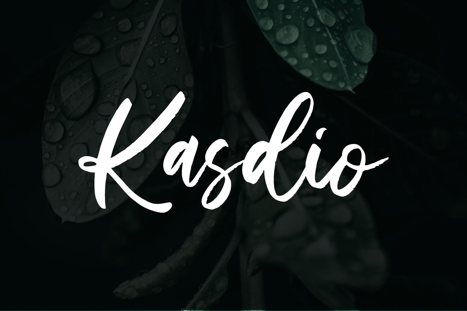 Kasdio-Brush Font | Script Fonts ~ Creative Market