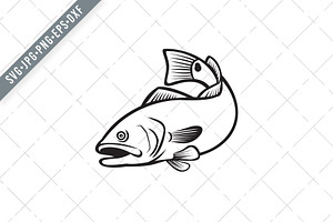 Download Red Drum Spottail Bass Redfish Svg Pre Designed Illustrator Graphics Creative Market