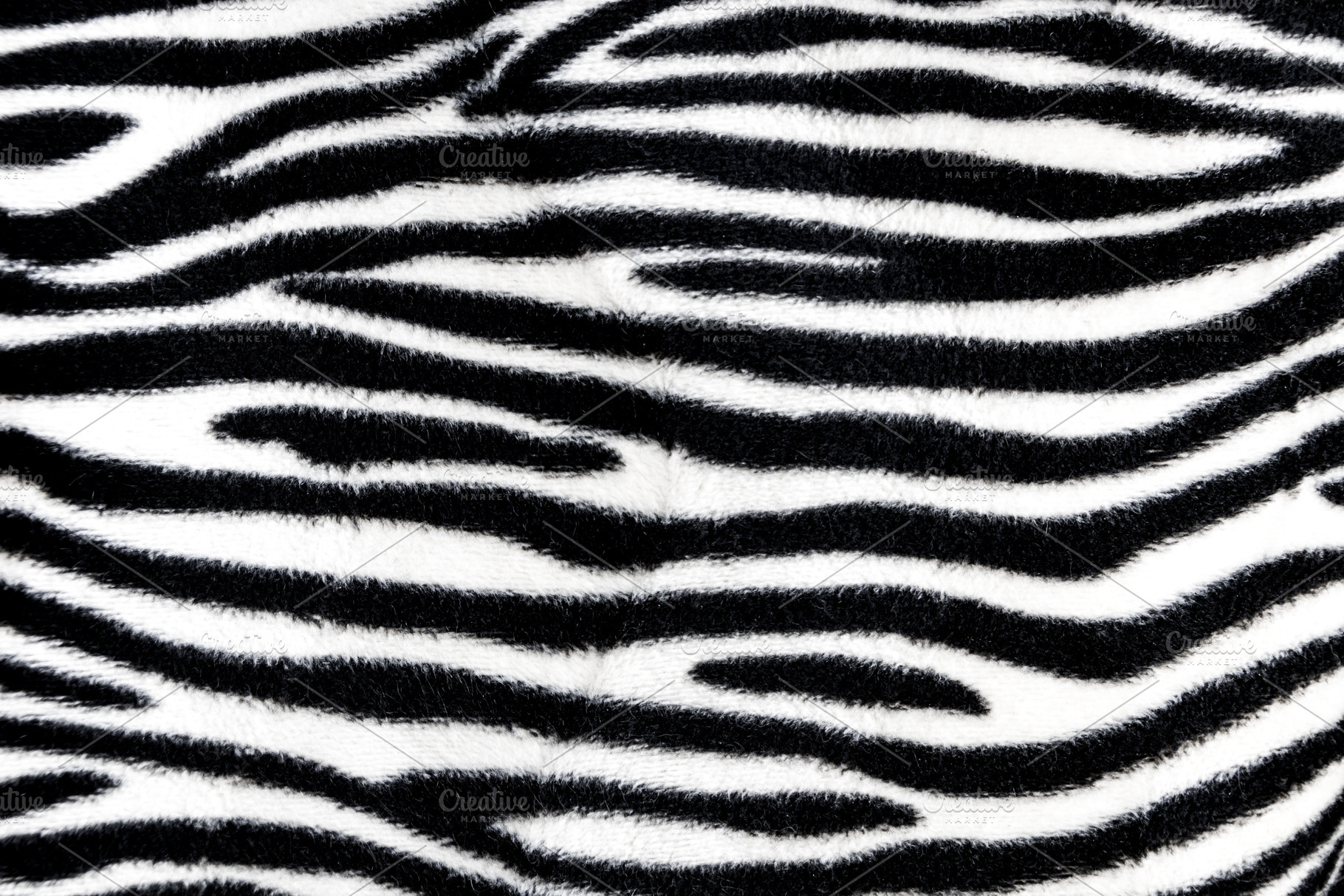 Zebra fur background texture stock photo containing zebra and texture