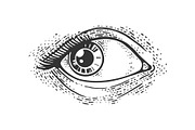 Woman eye sketch vector illustration | Object Illustrations ~ Creative ...