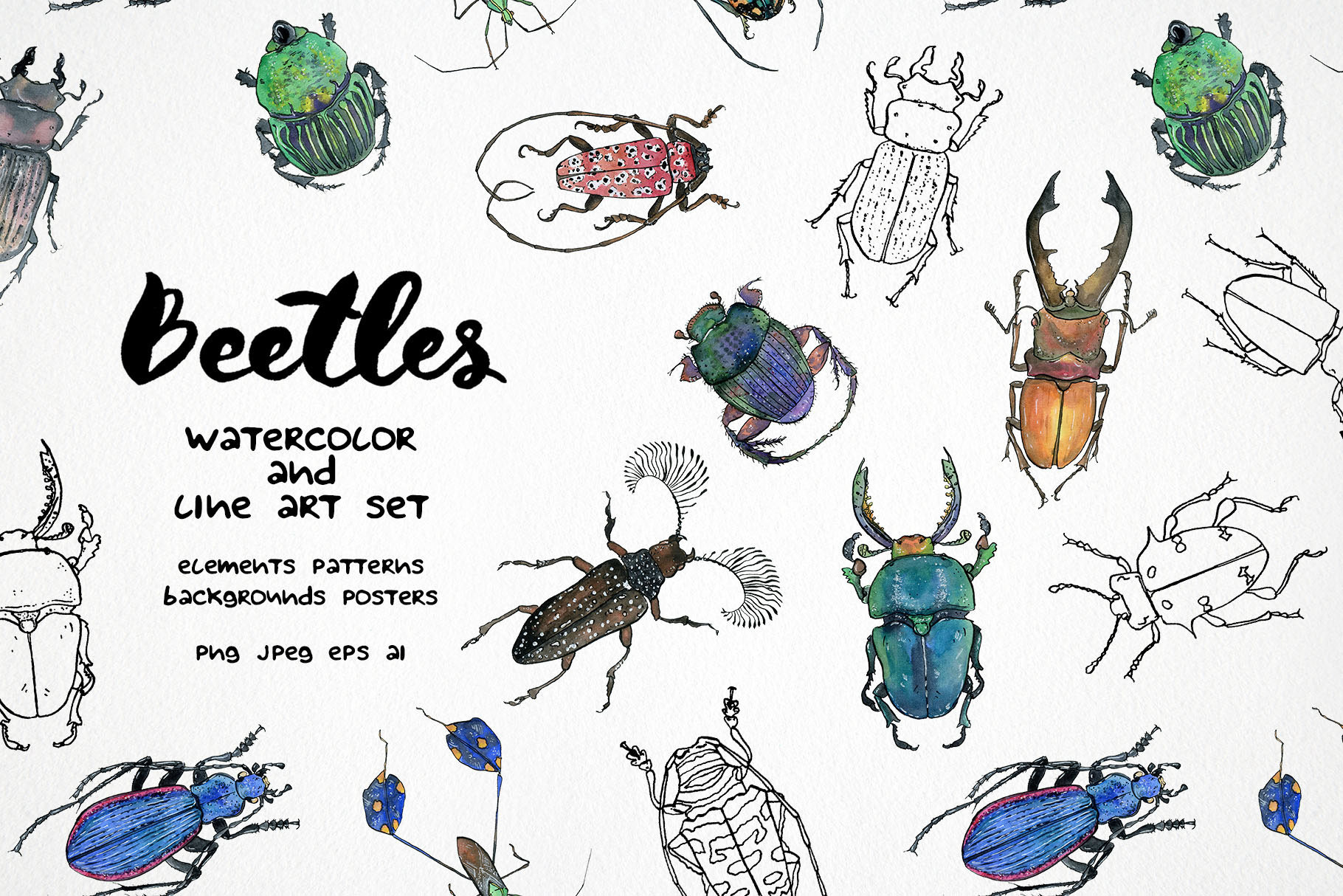 Watercolor bug clipart, insect set | Animal Illustrations ~ Creative Market