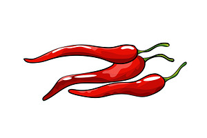 Hand drawn chili pepper. Super | Pre-Designed Vector Graphics