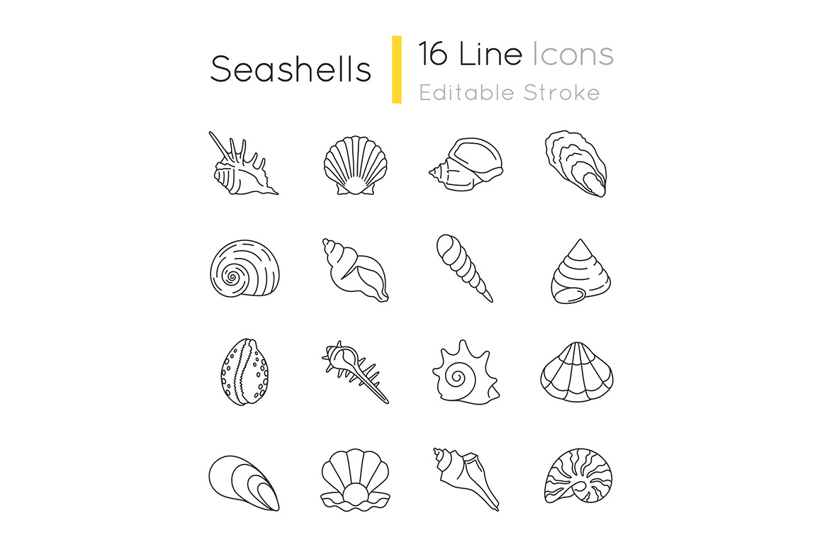 Seashells pixel perfect linear icons | Outline Icons ~ Creative Market