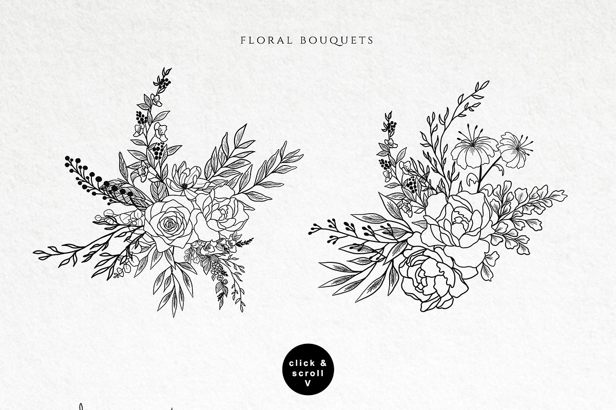 Line Art Floral clipart | Pre-Designed Photoshop Graphics ~ Creative Market