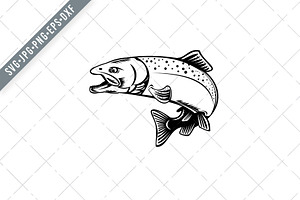 Download Chinook Salmon Or King Salmon Svg Pre Designed Illustrator Graphics Creative Market