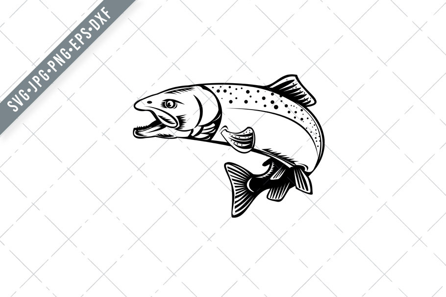 Download Chinook Salmon Or King Salmon Svg Pre Designed Illustrator Graphics Creative Market