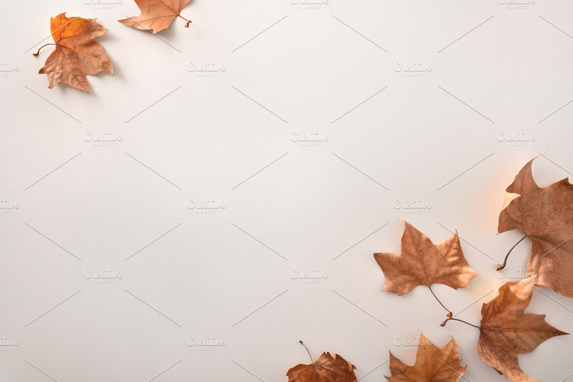 Premium Photo  Brown dry leaves isolated over white background