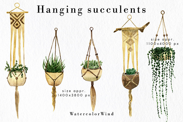 Hanging plants png images clipart | Pre-Designed Photoshop Graphics