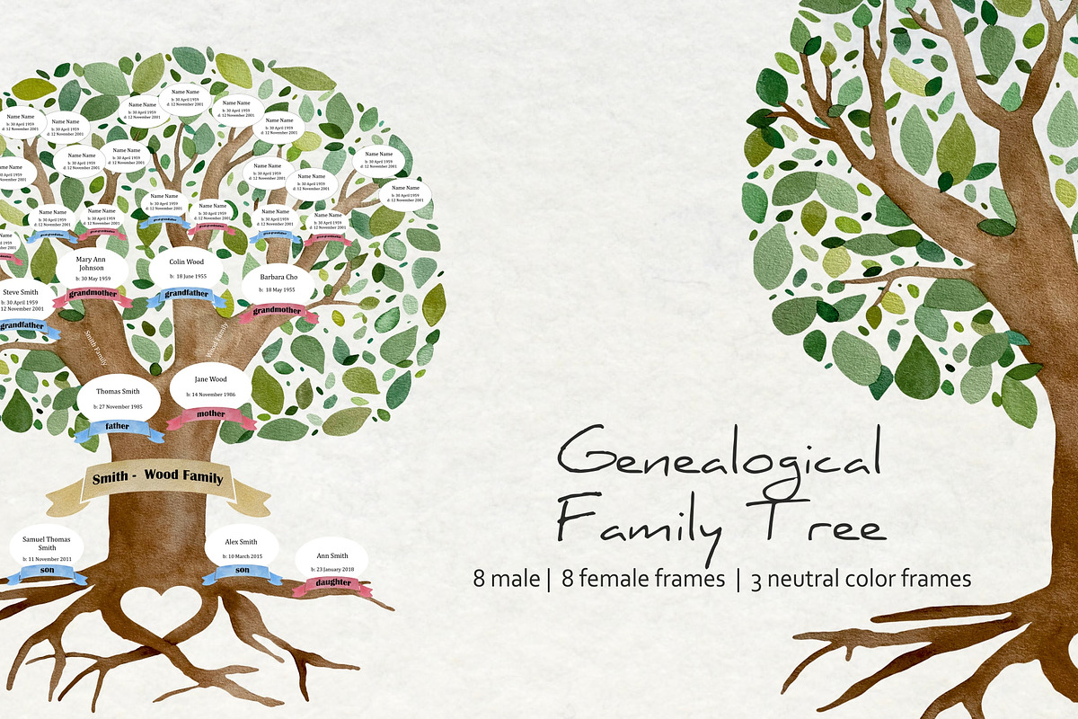  Family  Genealogical Tree  Creator  Pre Designed Photoshop 