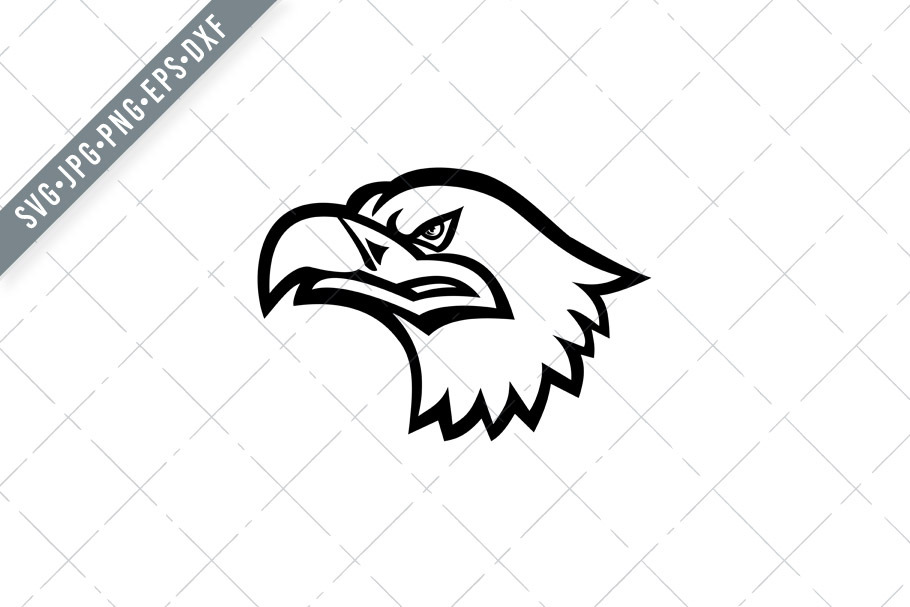 Download Head Of A Eurasian Sea Eagle Svg Pre Designed Illustrator Graphics Creative Market