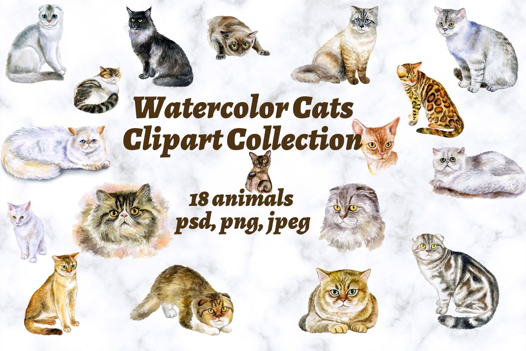 Download Cats Watercolor Set Clipart Bundle Pre Designed Photoshop Graphics Creative Market