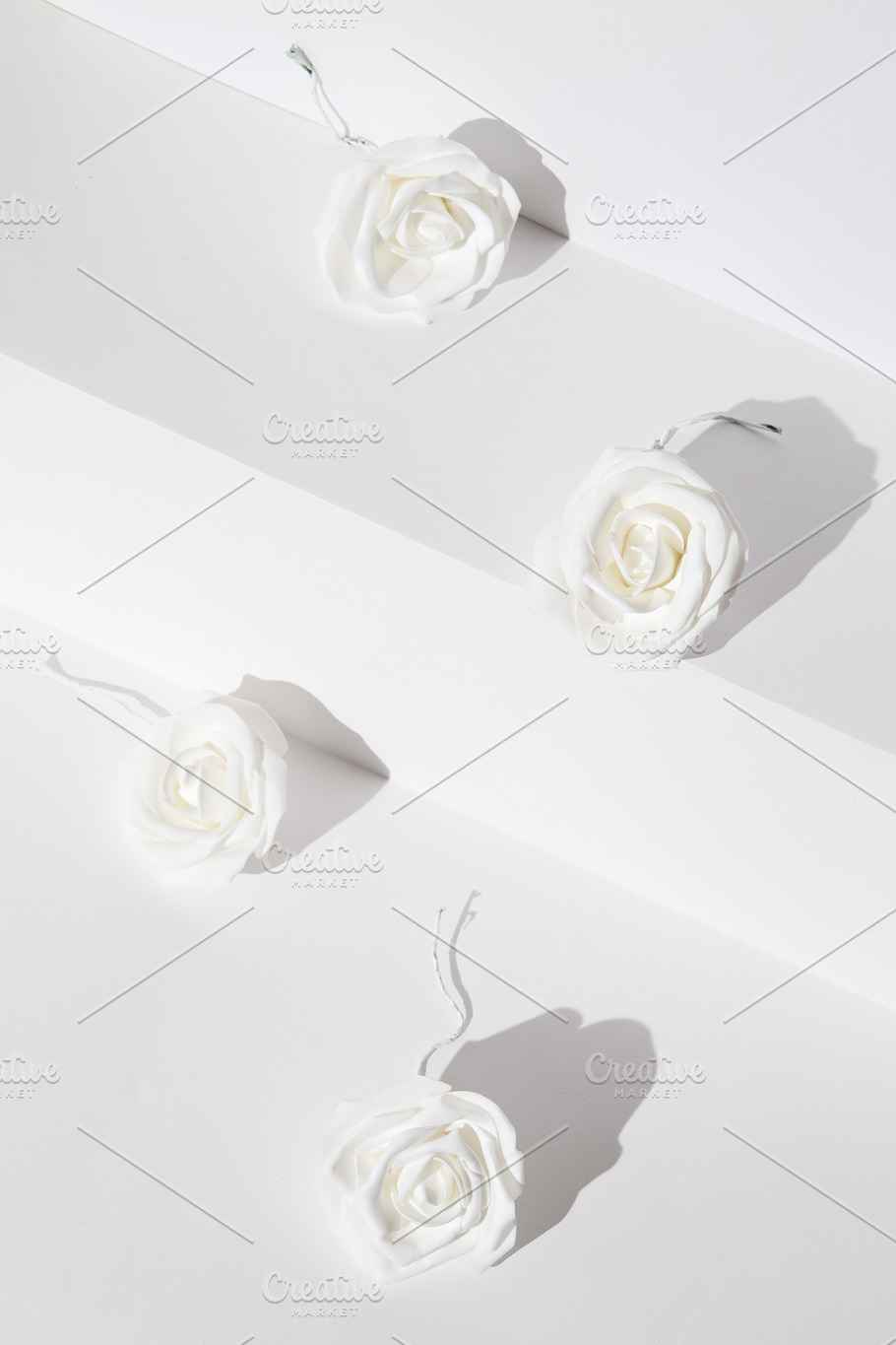 Minimal roses flowers on white trend | Holiday Stock Photos ~ Creative ...