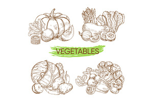 Vegetables Pencil Illustration Set | Pre-Designed Photoshop Graphics