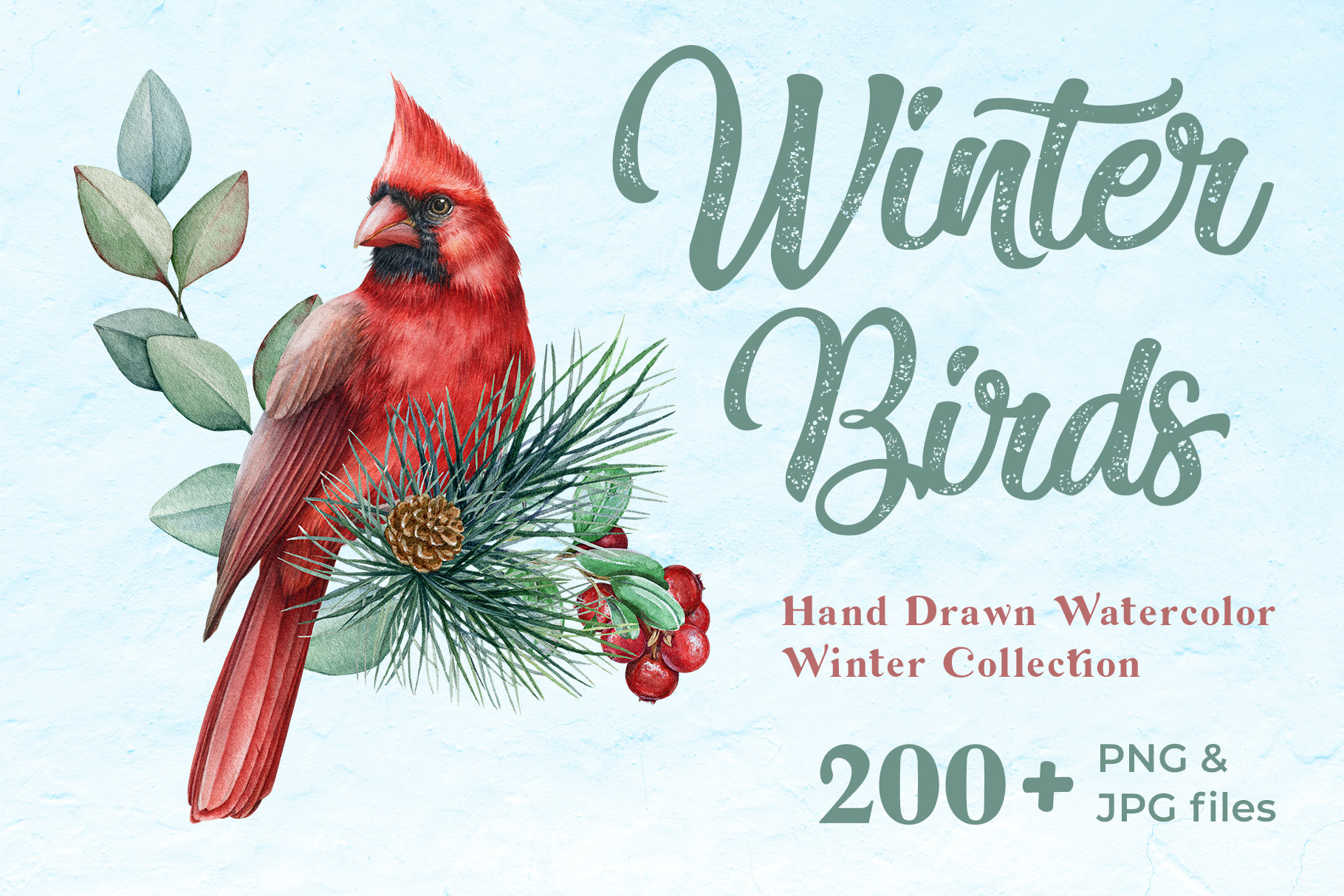 Winter Birds Watercolor Clipart Red Cardinal Blue Jay 