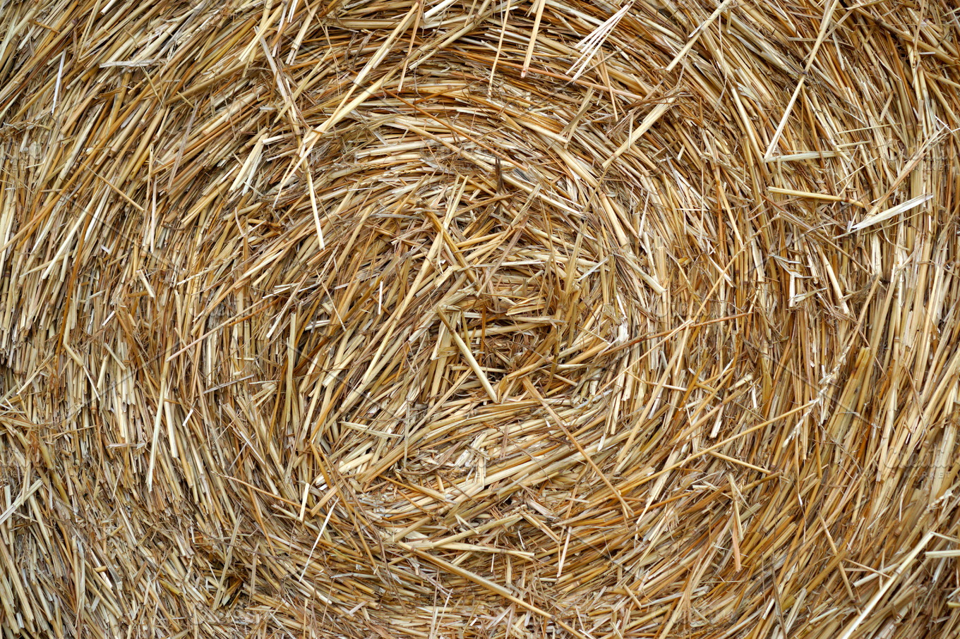 Straw stock photo containing straw and agriculture | Abstract Stock ...