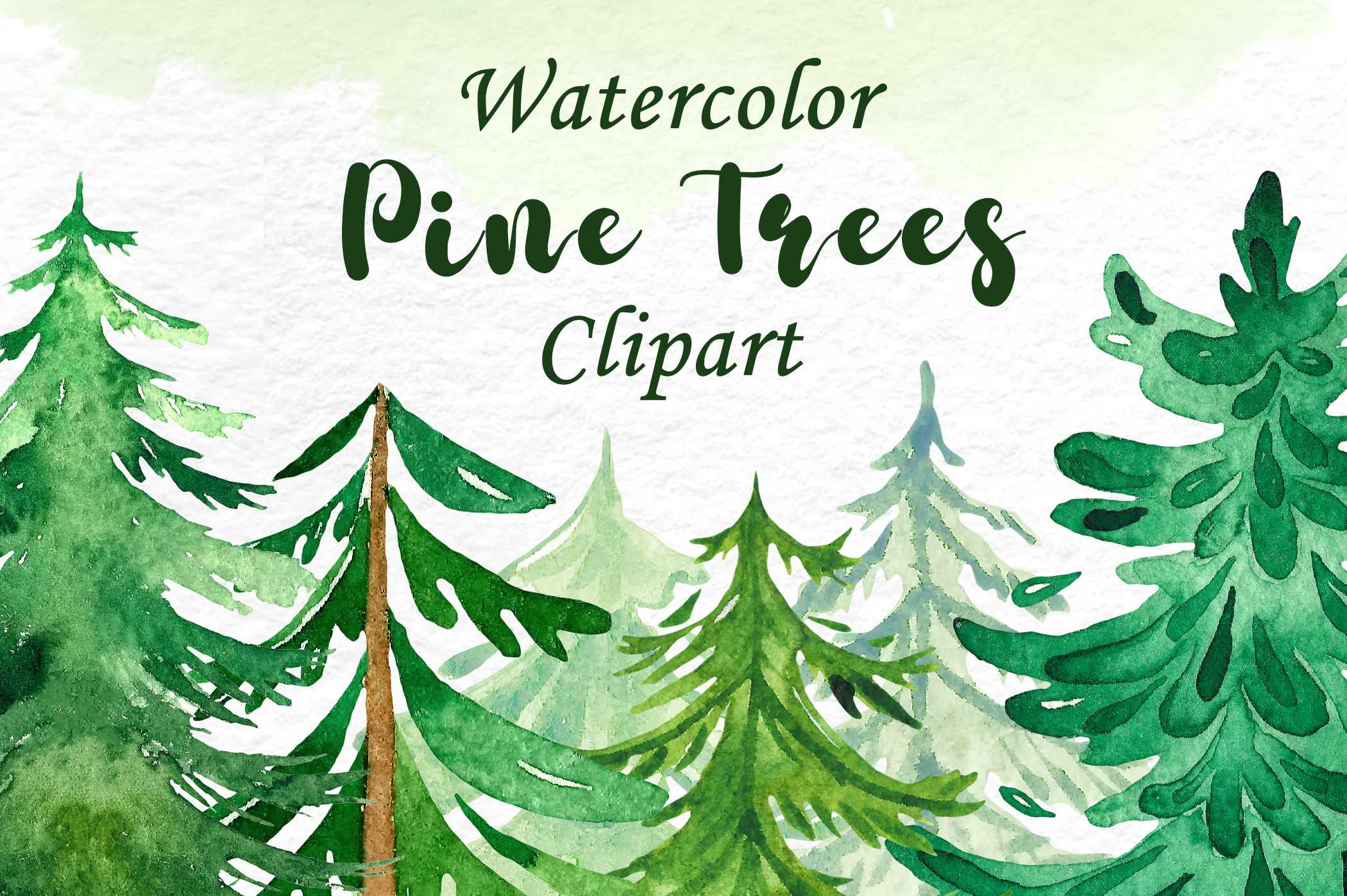 watercolor-pine-trees-clipart-illustrations-creative-market