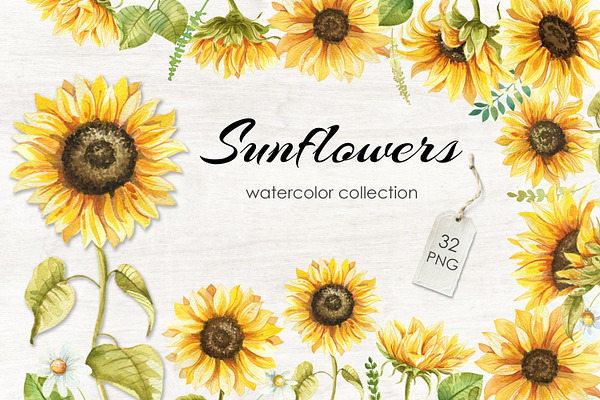 Download Sunflowers Watercolor Collection Pre Designed Photoshop Graphics Creative Market