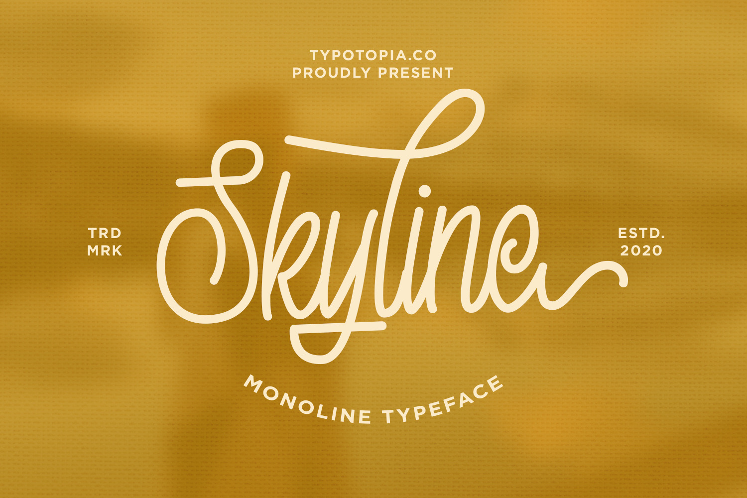 Skyline Monoline Script Font Script Fonts Creative Market