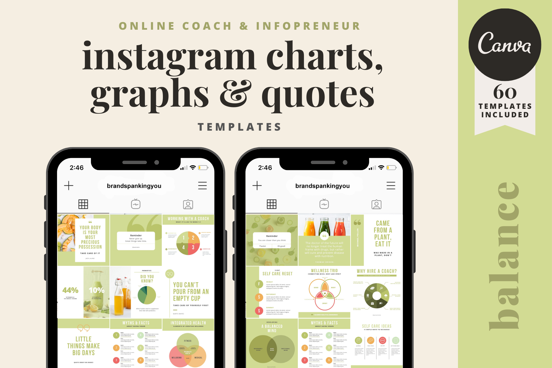 Instagram Charts, Graphs & Quotes | Creative Canva Templates ~ Creative