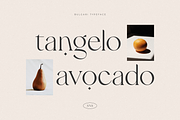 Bulgari - Modern Font | Serif Fonts ~ Creative Market