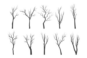 Trees With Bare Branches Silhouette Pre Designed Vector Graphics Creative Market