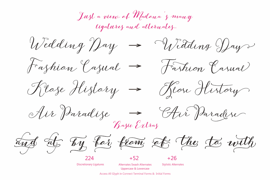 Madona Scrip & Basic Update | Stunning Script Fonts ~ Creative Market