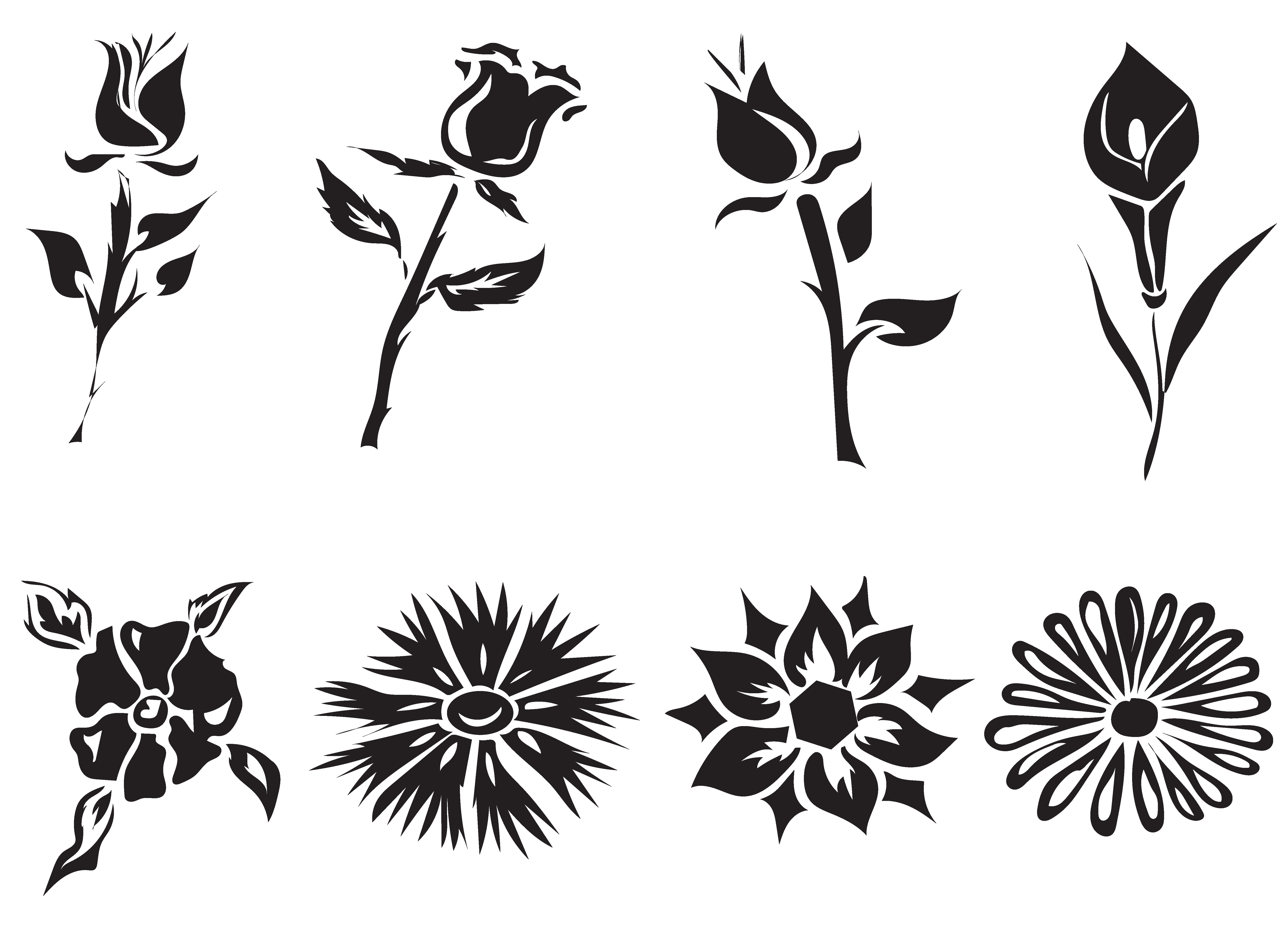 Set, black, flowers, vector | Pre-Designed Illustrator Graphics