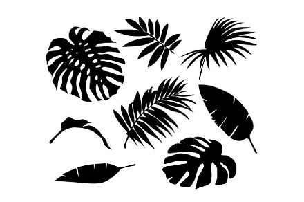 Hand drawn tropical leaves set | Icons ~ Creative Market