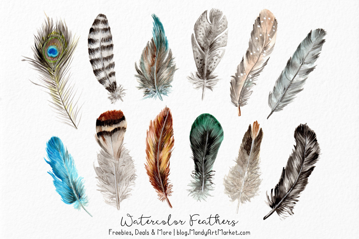 Natural Watercolor Feathers Illustrations ~ Creative Market 1561