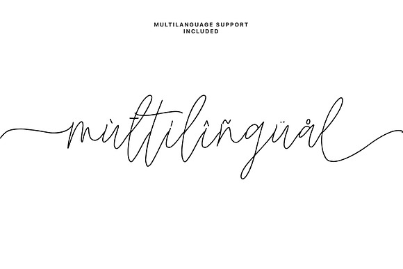 Wild Heart // Lovely Script Font  Handwriting Fonts ~ Creative Market