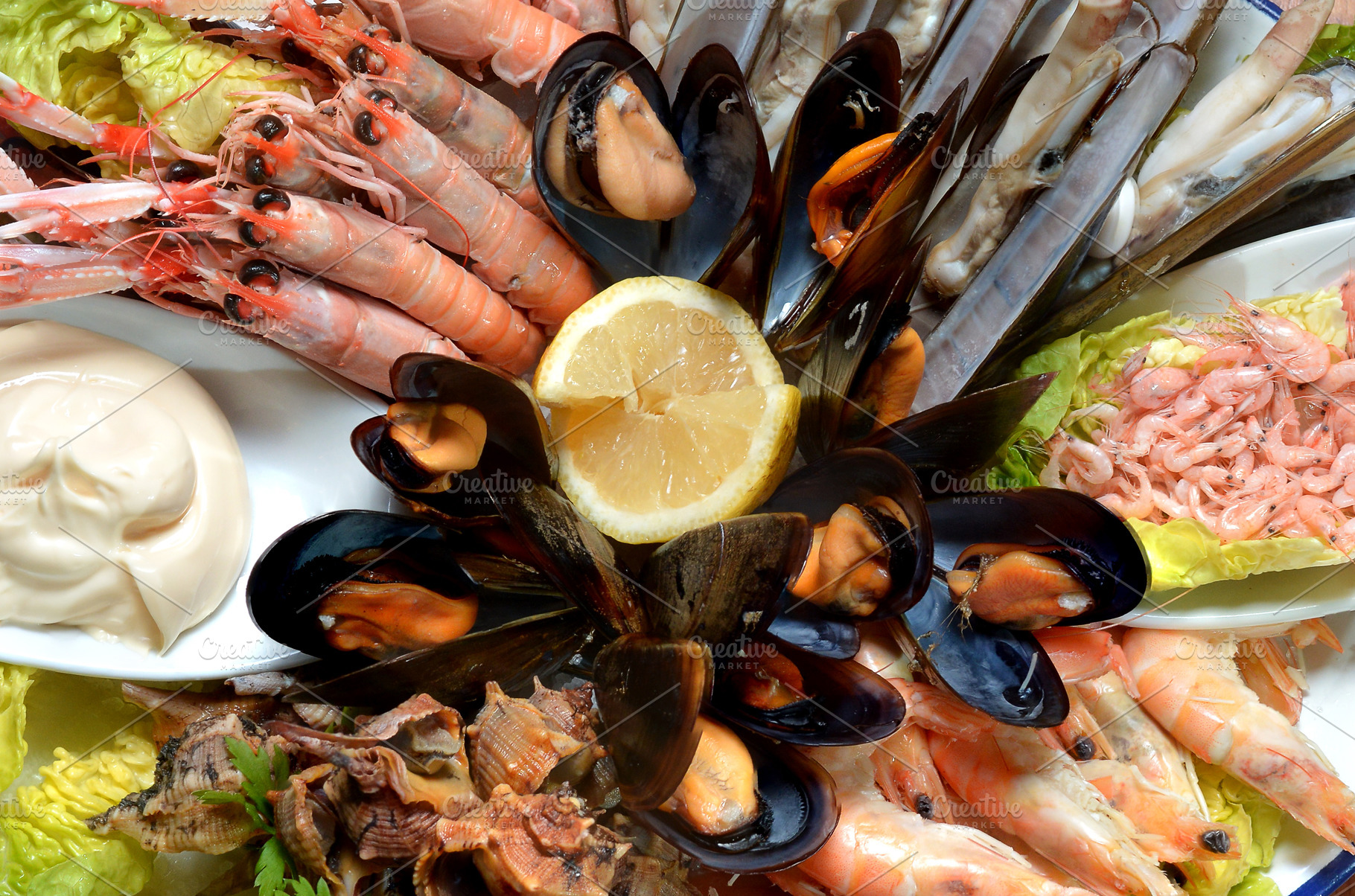 Close up of variety of shellfish and Food Images Creative Market