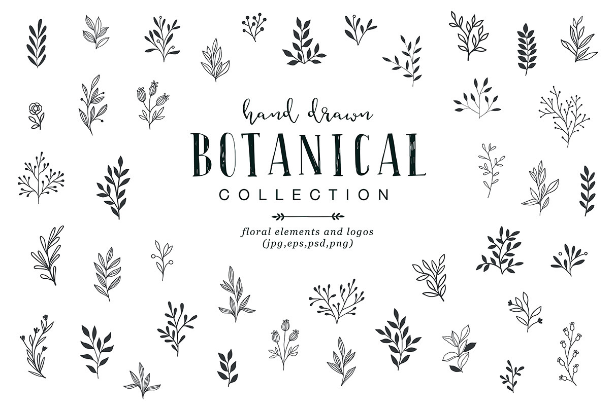 Hand drawn botanical collection. | Branding & Logo Templates ~ Creative ...