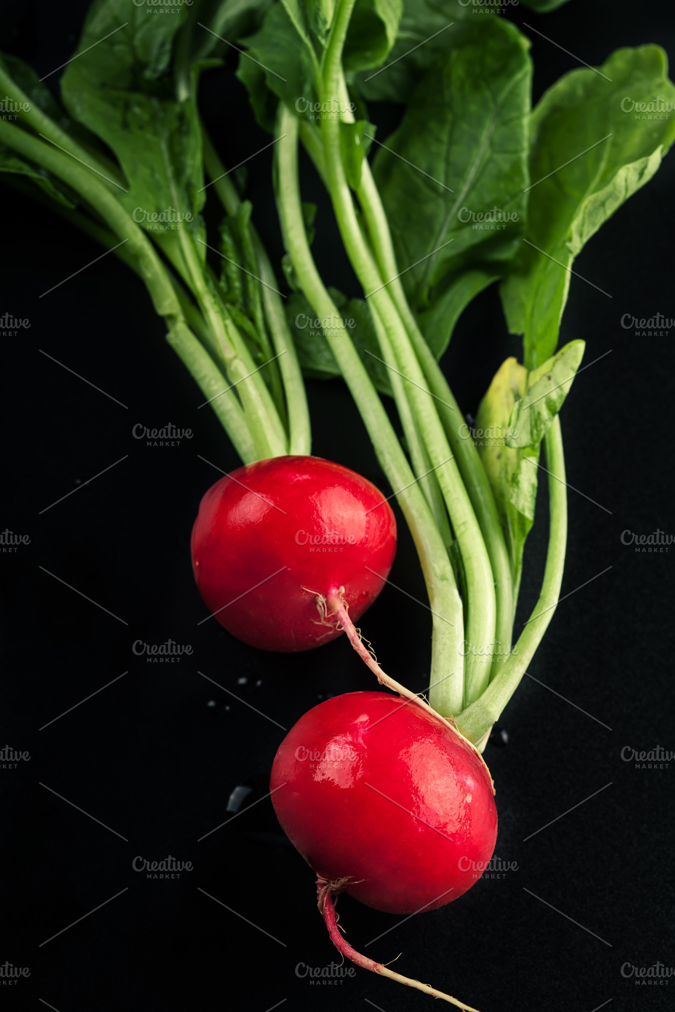 Fresh red radishes stock photo containing background and black Food