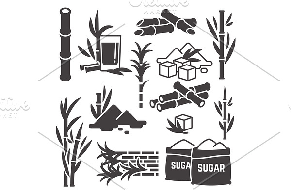 Sugar cane, sugarcane plant harvest | Pre-Designed Vector Graphics