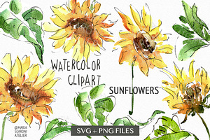 Sunflower Png Bundle Flower Clipart Pre Designed Photoshop Graphics Creative Market