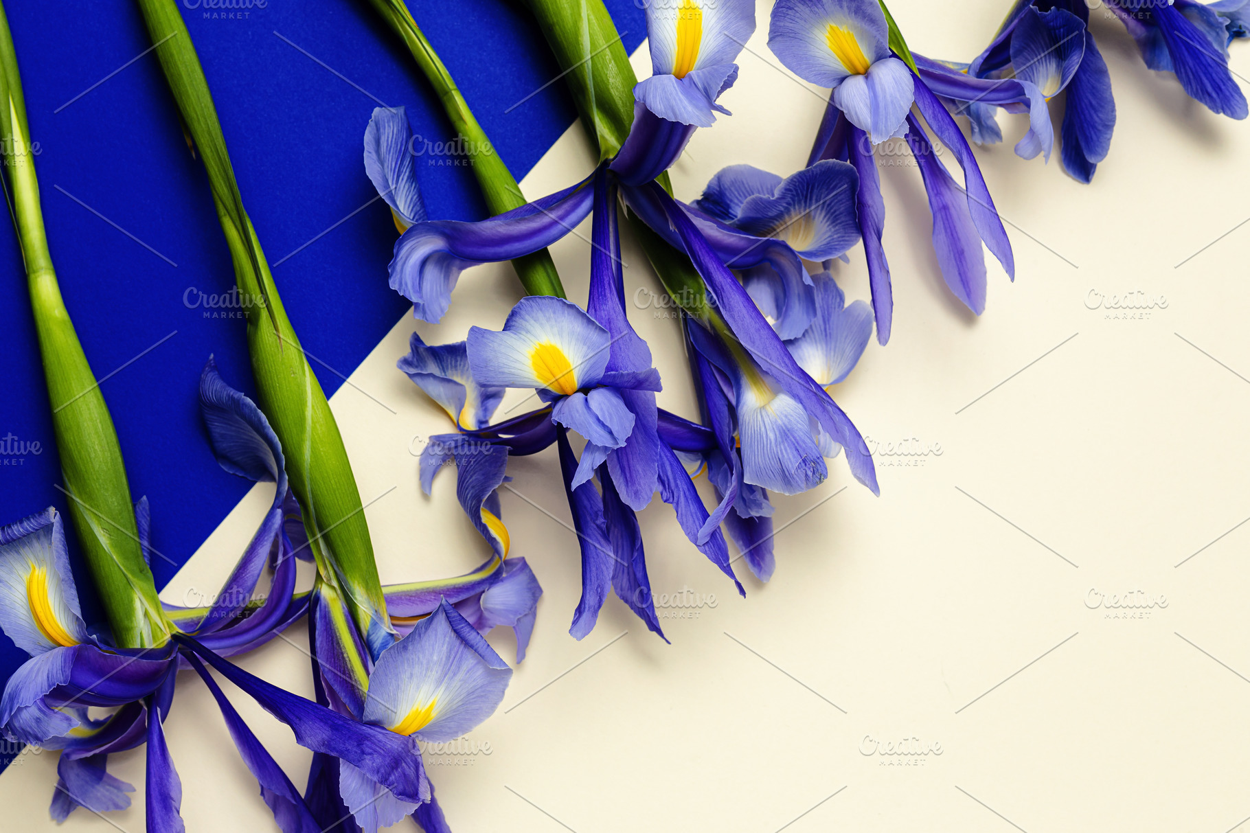 Blue lilies background | Arts & Entertainment Stock Photos ~ Creative