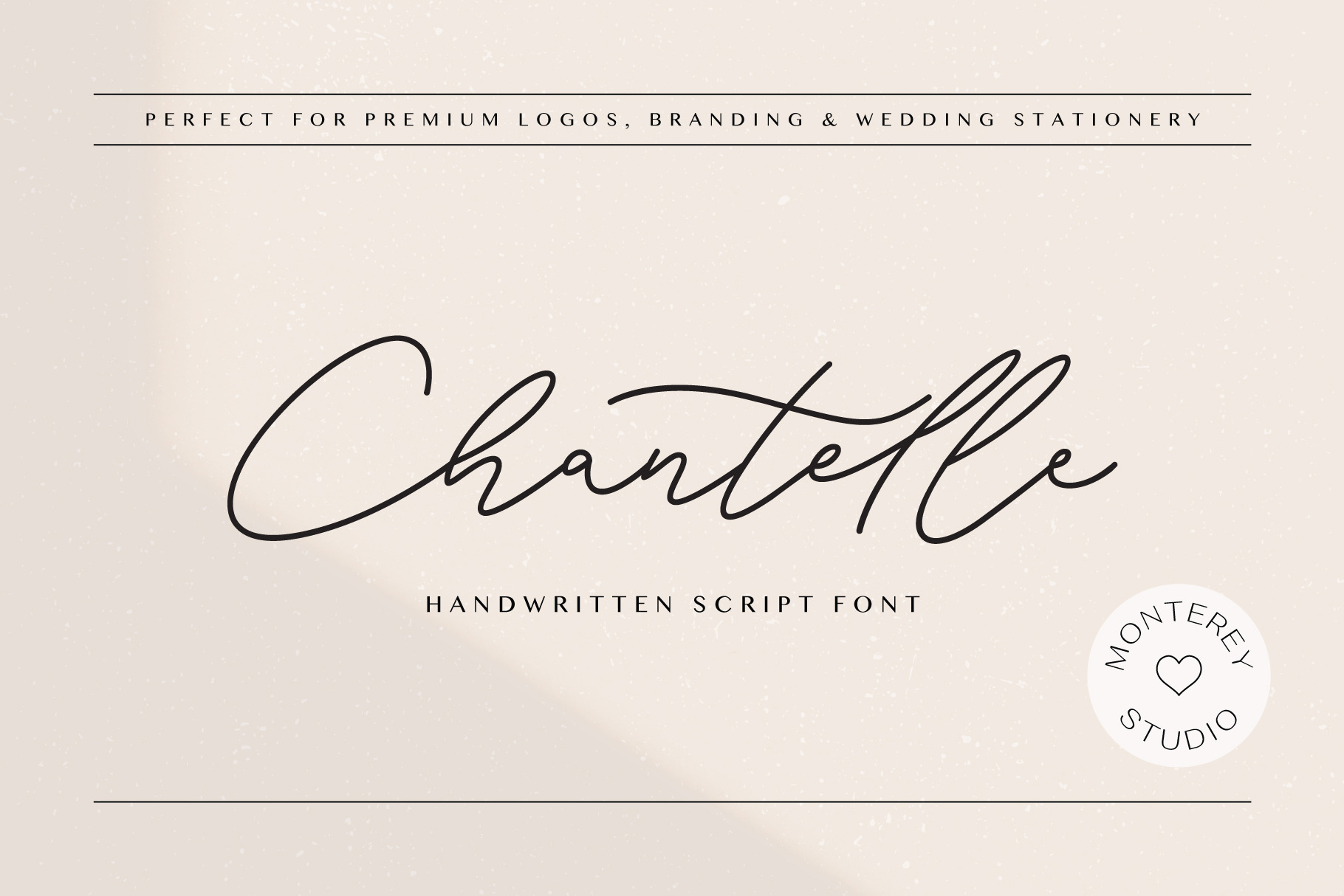 Chantelle | Handwritten Script Font | Handwriting Fonts ~ Creative Market