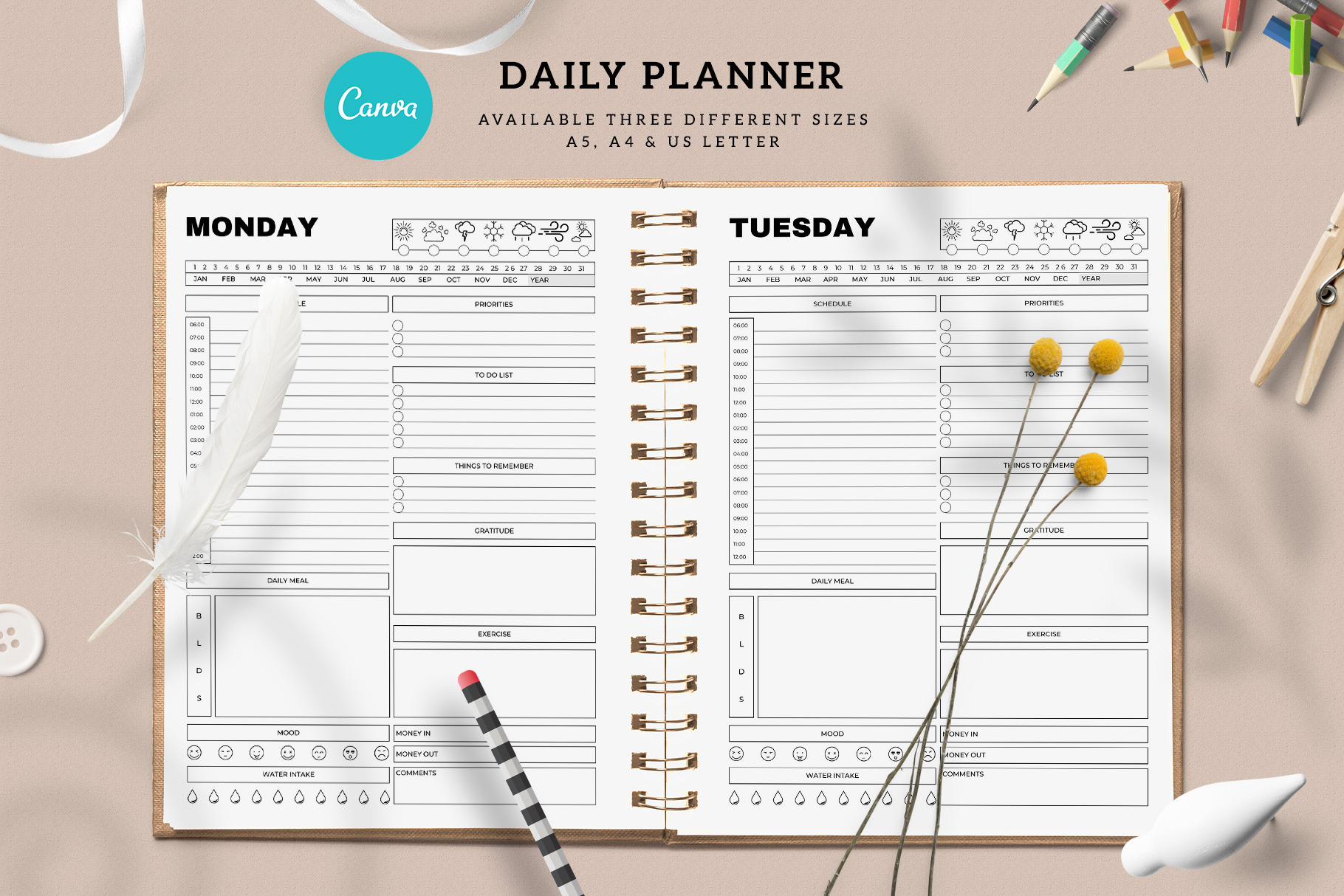 Editable Canva Daily Planner Template | Creative Market