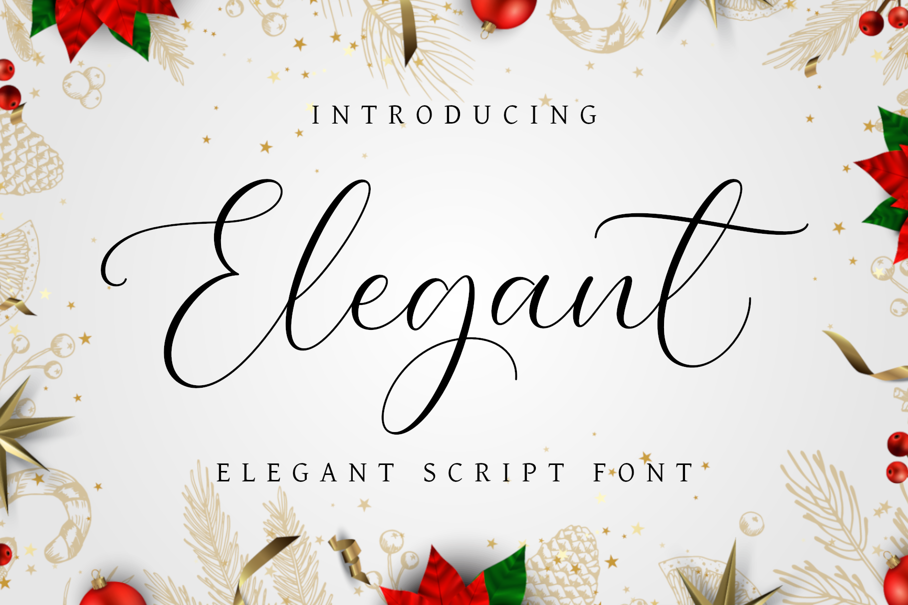 elegant-elegant-script-font-script-fonts-creative-market