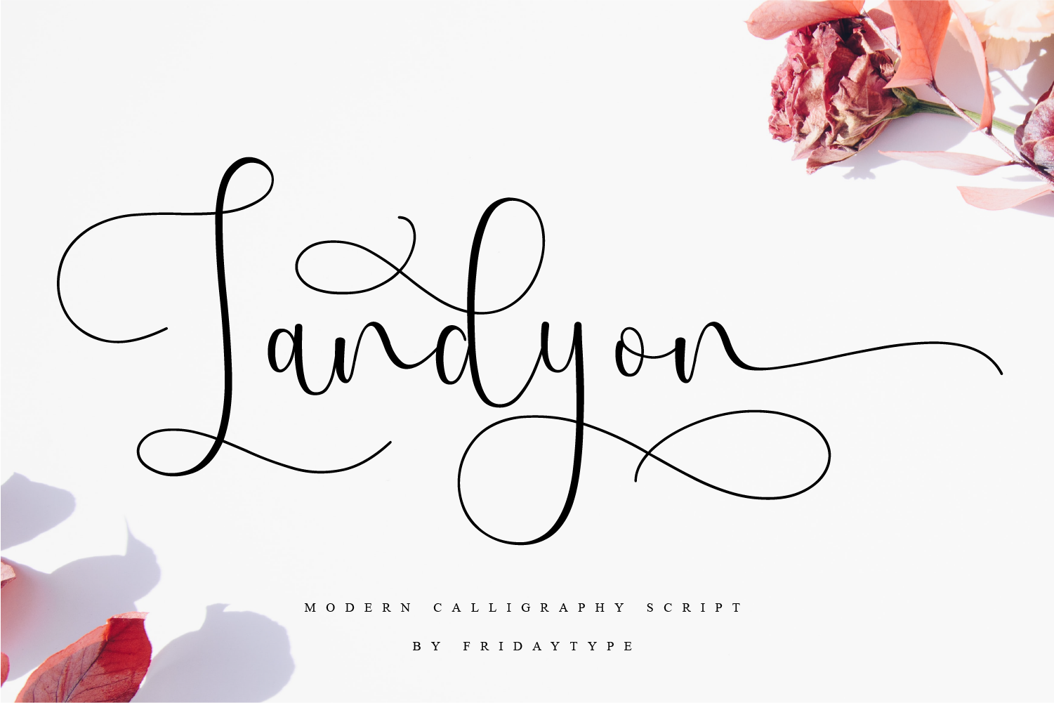 Landyon - Calligraphy Script | Script Fonts ~ Creative Market